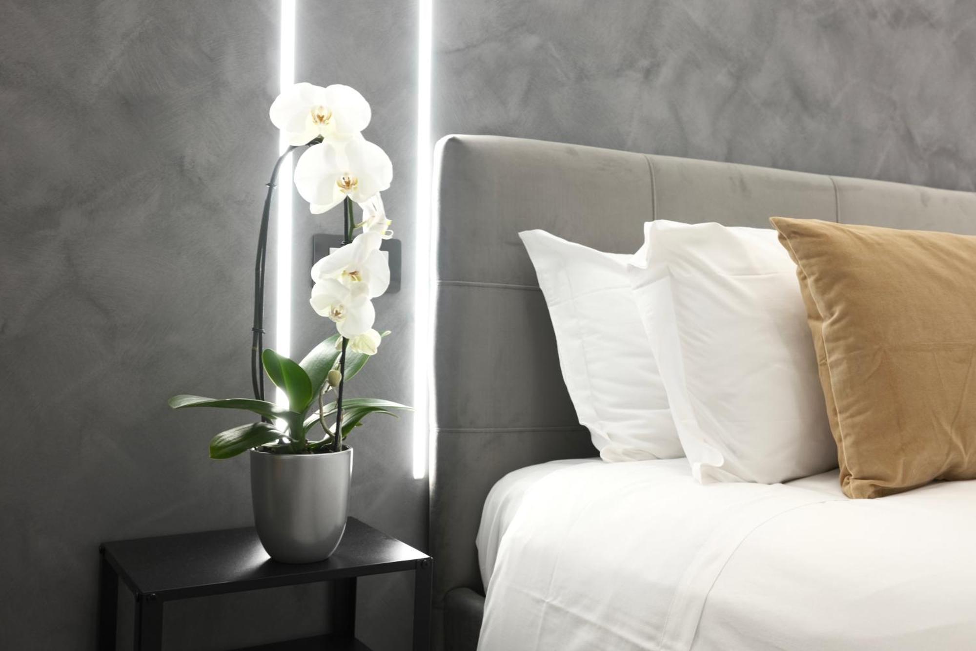 Turati Inn Roma Dış mekan fotoğraf